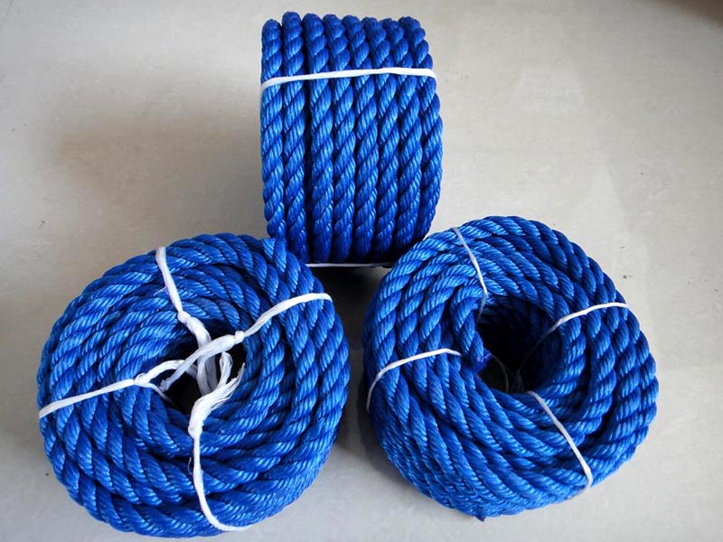 1636800905621129.jpg 2021111301.jpg